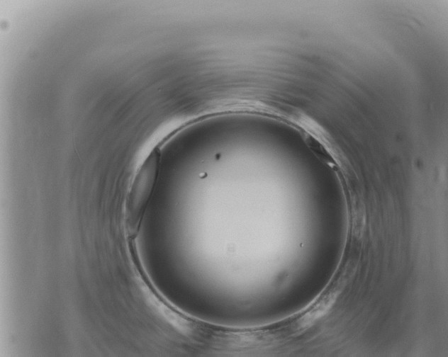 X0000073701438200608101802