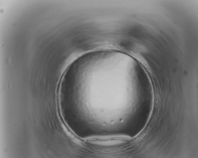 X0000073701439200608101802