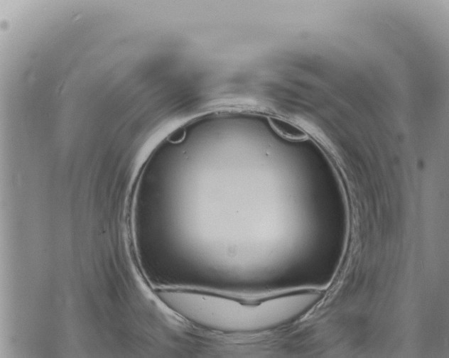 X0000073701440200608101802