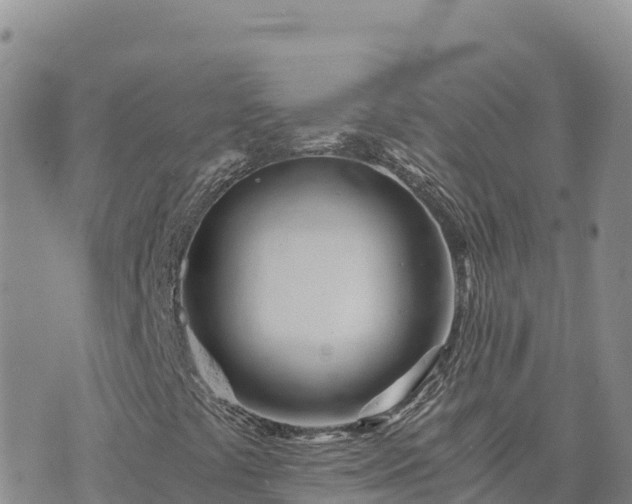 X0000073701441200608101801