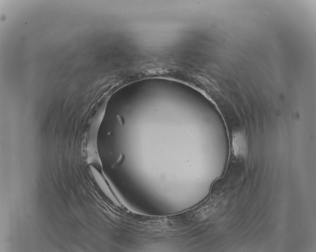 X0000073701444200608101801