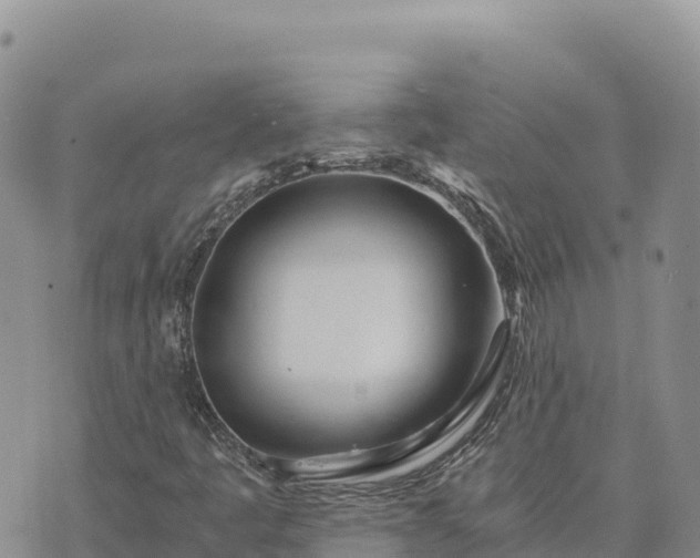 X0000073701445200608101801