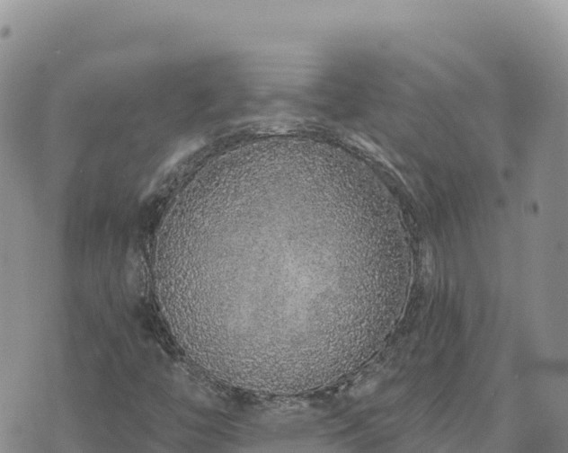 X0000073701446200608101801