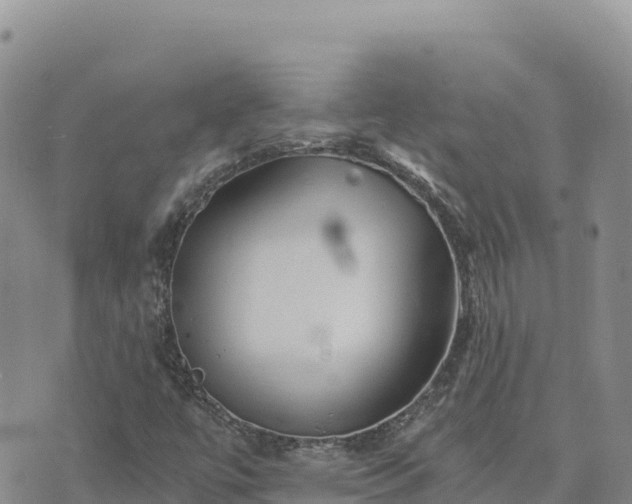 X0000073701447200608101801