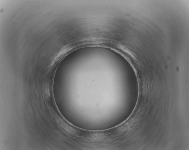 X0000073701451200608101801