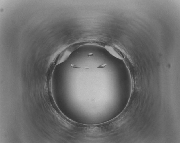 X0000073701452200608101801