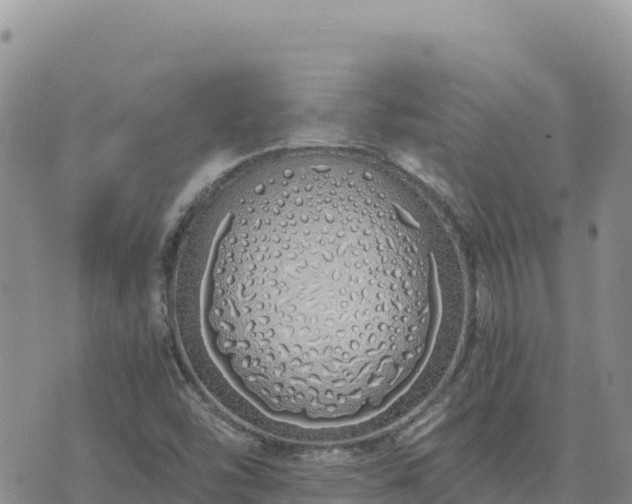 X0000073701454200608101801