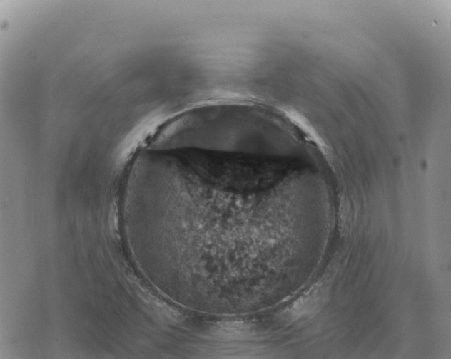 X0000073701455200608101801