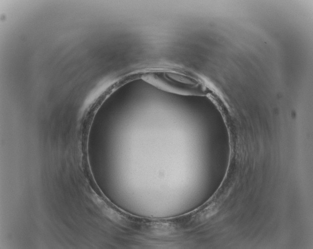 X0000073701456200608101801