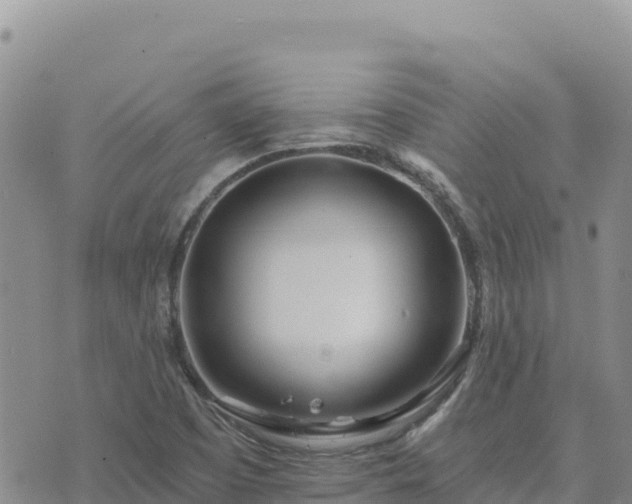 X0000073701457200608101801