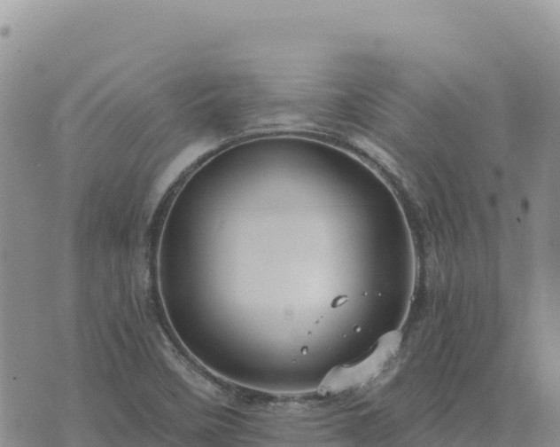 X0000073701458200608101801