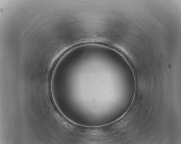 X0000073701460200608101801