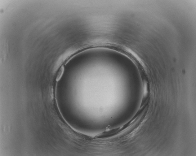 X0000073701461200608101801