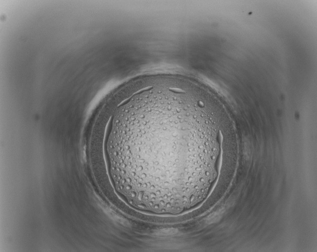 X0000073701462200608101801