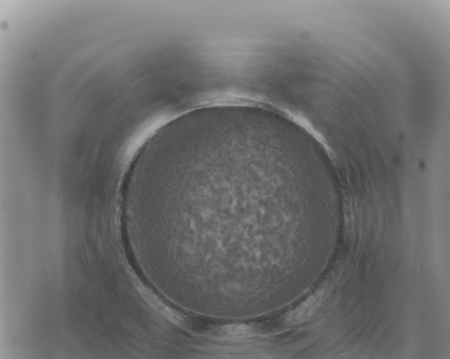 X0000073701463200608101801