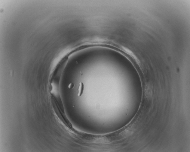 X0000073701464200608101801