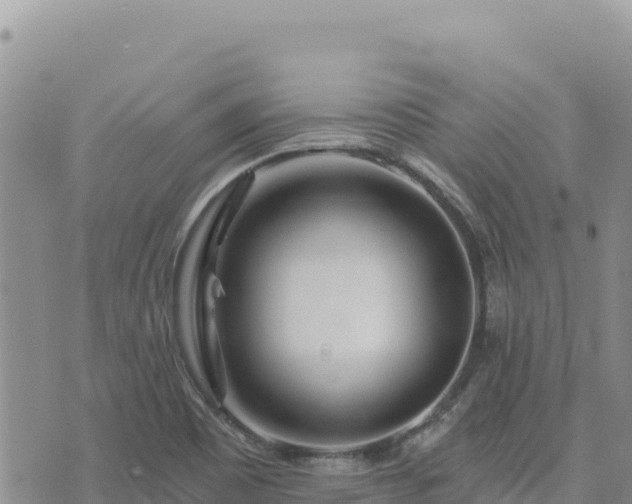 X0000073701465200608101801