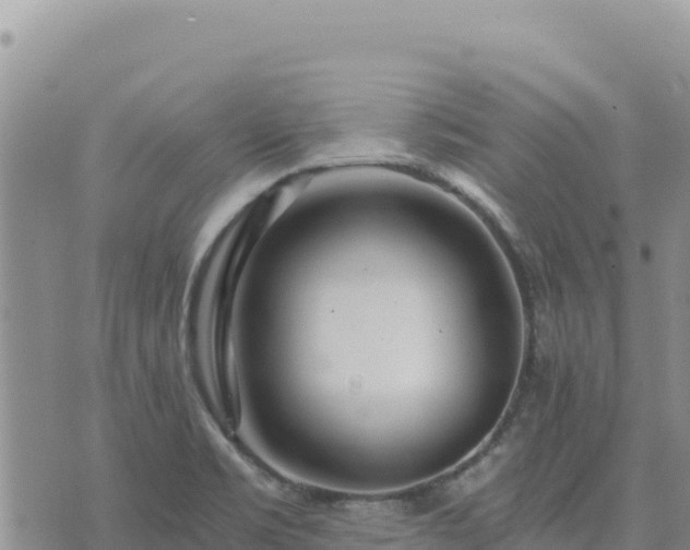 X0000073701469200608101801