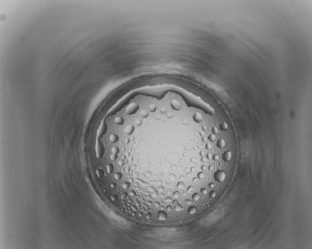 X0000073701470200608101801