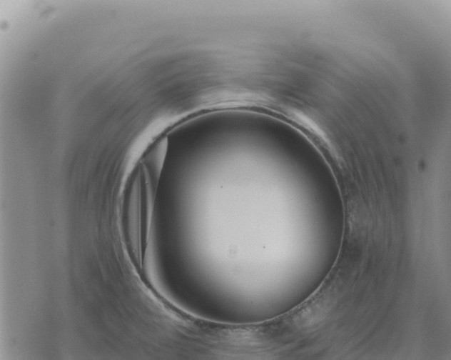 X0000073701472200608101801