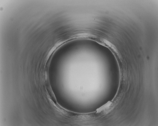 X0000073701473200608101801