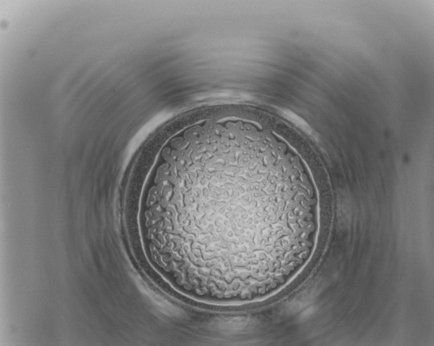 X0000073701474200608101801