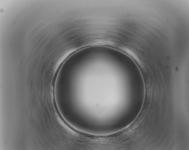 X0000073701476200608101801