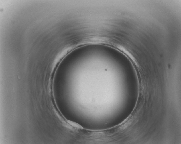 X0000073701477200608101801