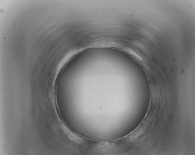 X0000073701478200608101801