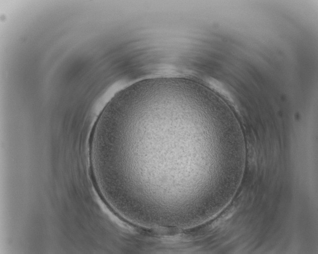 X0000073701479200608101801