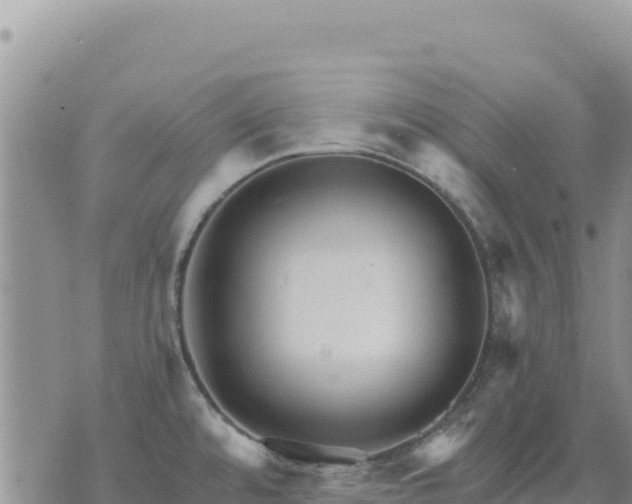 X0000073701480200608101801