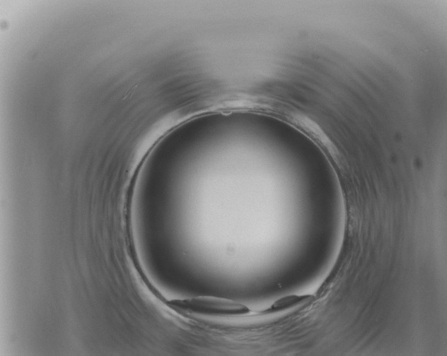 X0000073701483200608101801