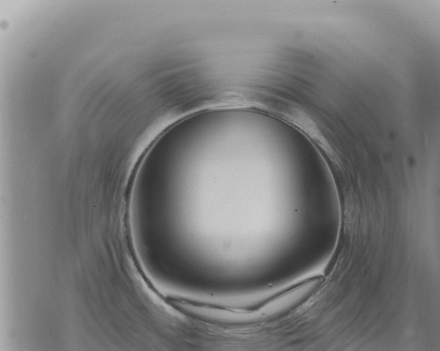 X0000073701484200608101801