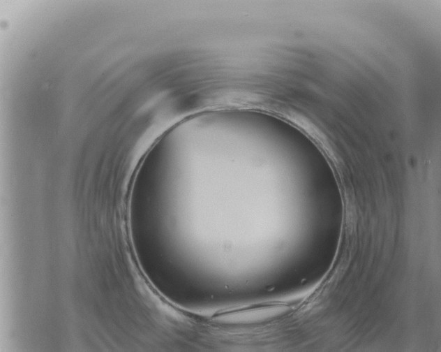 X0000073701486200608101801