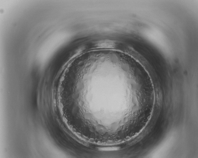 X0000073701487200608101801