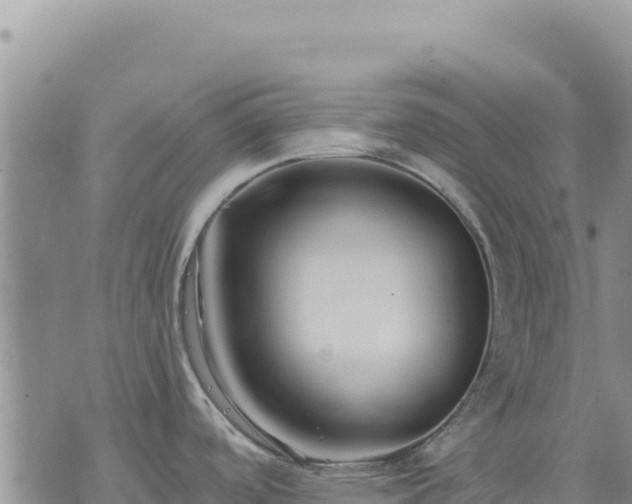 X0000073701488200608101801