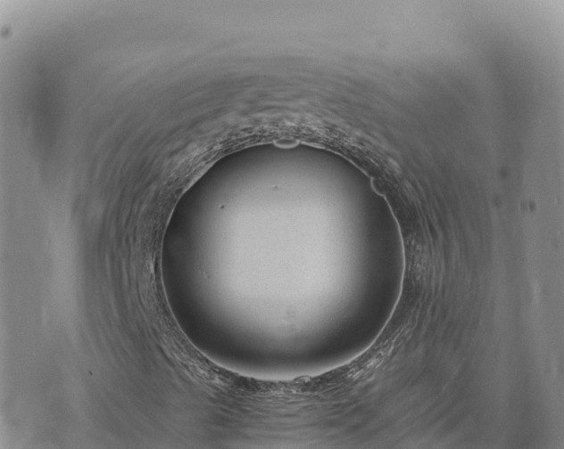 X0000073701489200608101800