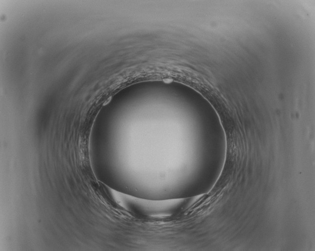 X0000073701490200608101800