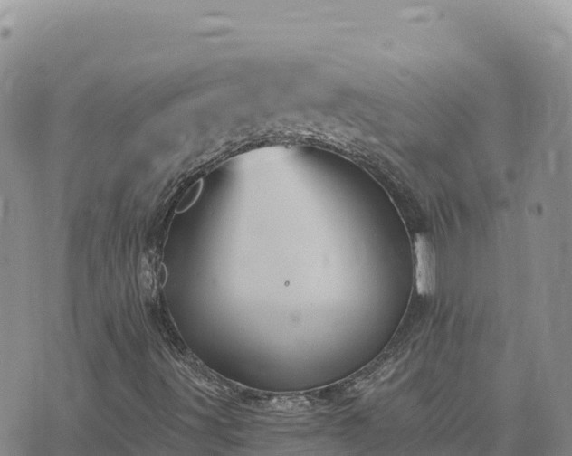 X0000073701491200608101800