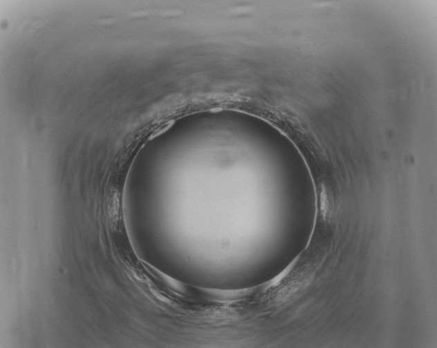 X0000073701492200608101800