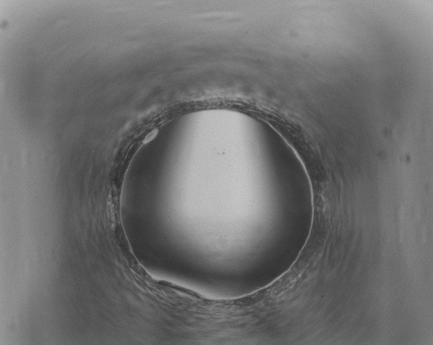 X0000073701493200608101800