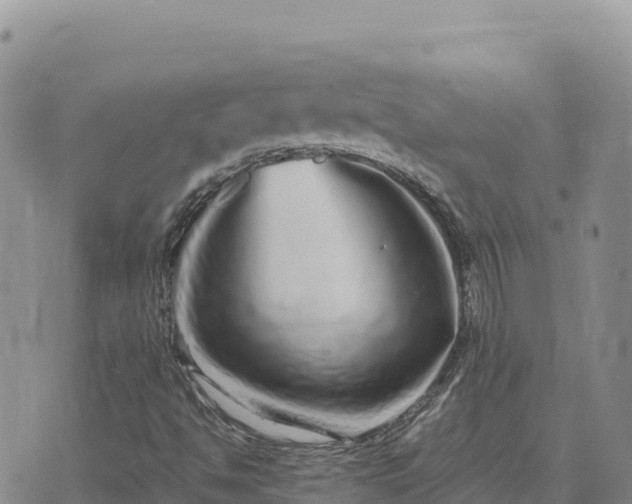 X0000073701494200608101800