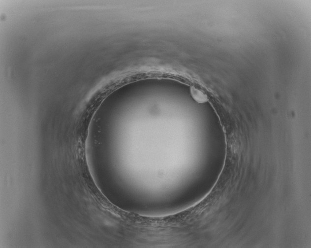 X0000073701495200608101800