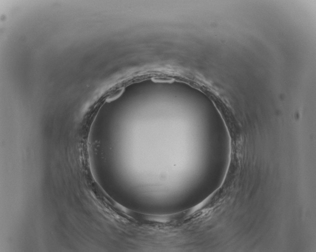 X0000073701496200608101800