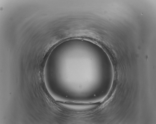 X0000073701497200608101800