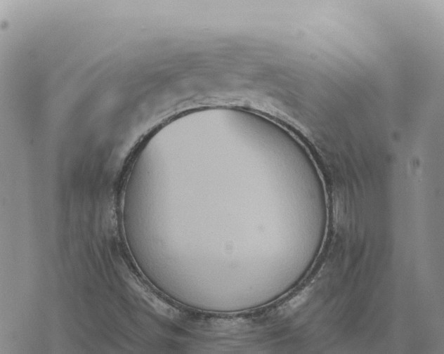 X0000073701498200608101800