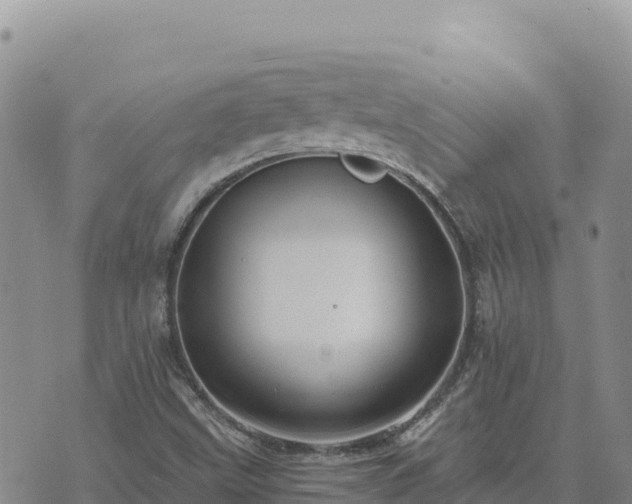 X0000073701499200608101800