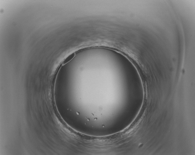 X0000073701500200608101800