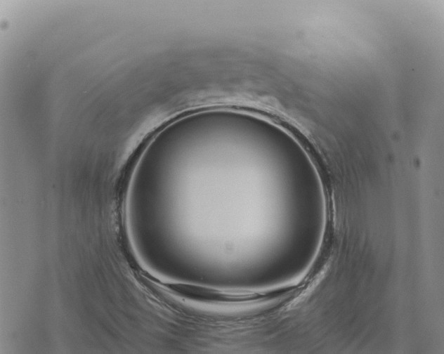 X0000073701501200608101800