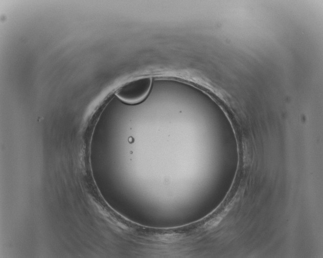 X0000073701502200608101800